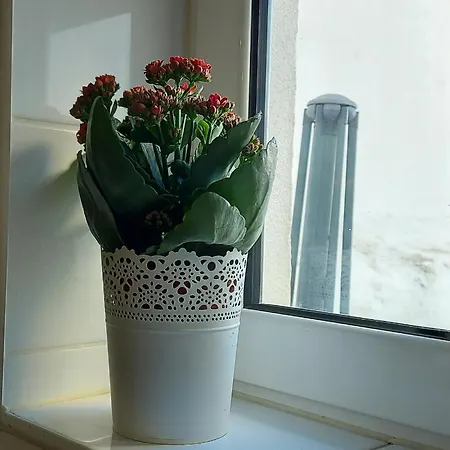 Studio Apartment Lisbon